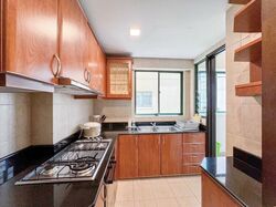 The Bencoolen (D7), Apartment #623097011